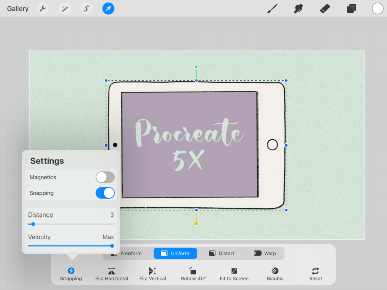 Procreate 5X snapping feature