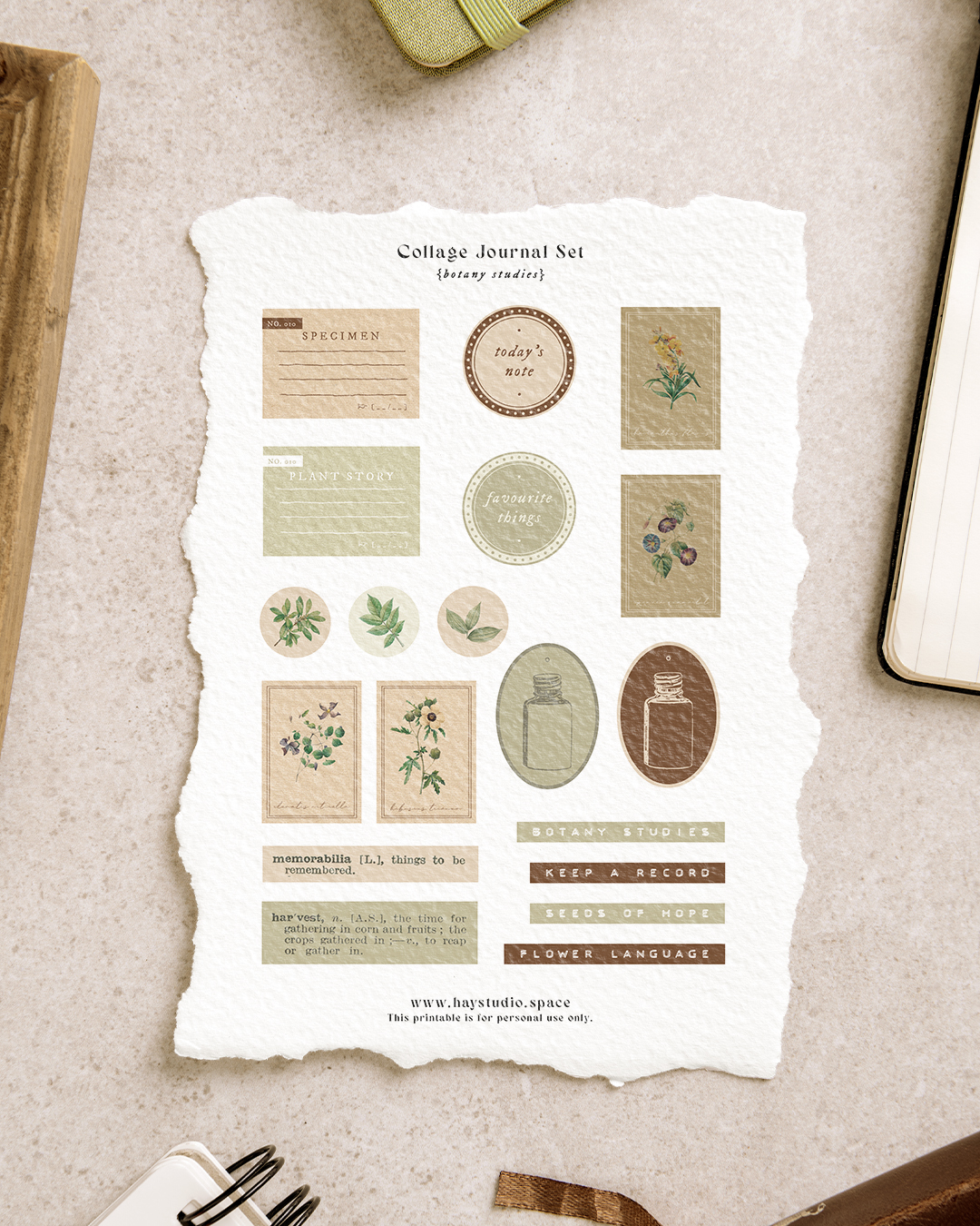 Free Journaling Printable - Botany Studies Set