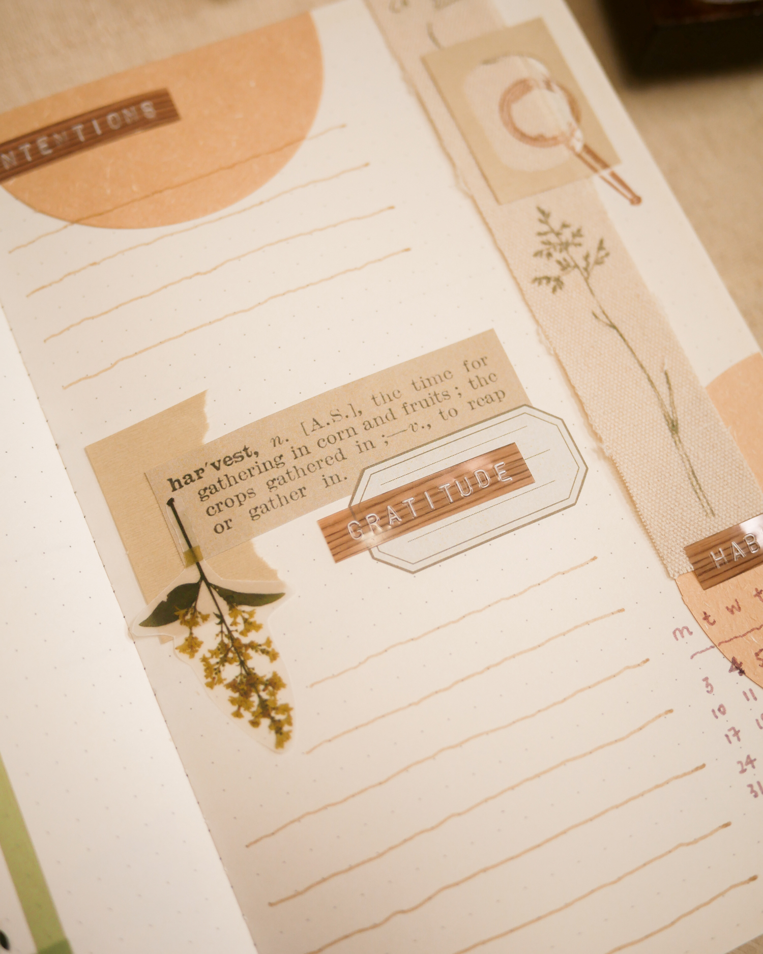 October Bullet Journal Setup - Botany Theme (Free Printable!) ⋆ HAY studio