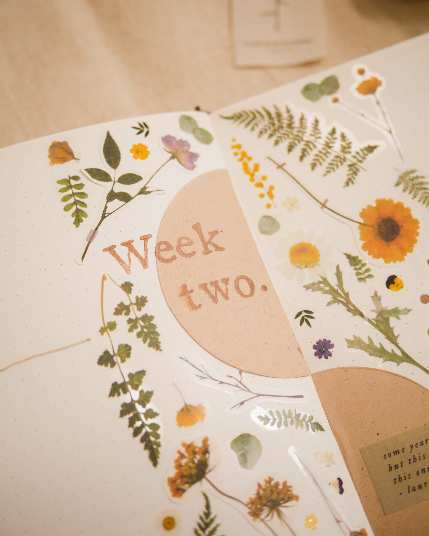 October Bullet Journal Setup - Botany Theme (Free Printable!) ⋆ HAY studio